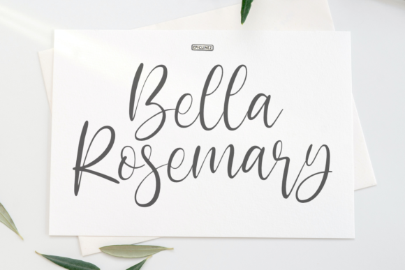 Bella Rosemary: Timeless Script Font for Web Design