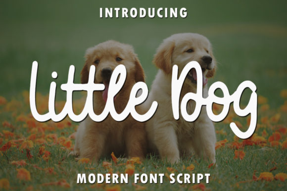 Little Dog Font: A Designer’s Guide to Sweet Handwritten Typography