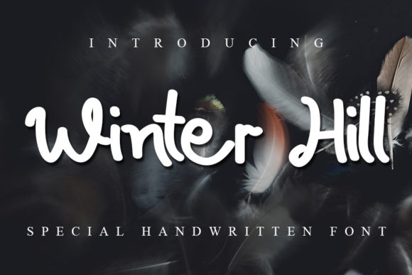 Winter Hill Font: A Warm Typeface for Branding